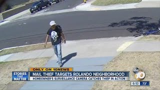 Neighbor scares off potential package thief