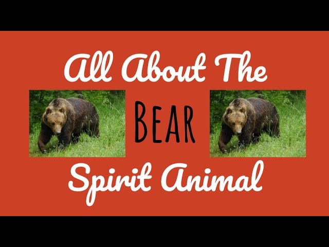 Bear Meaning, Bear Symbolism, Bear Spirit Animal