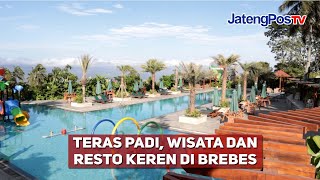 TERAS PADI: WISATA, RESTO, DAN CAFE KEREN DI BREBES/JATENGPOS TV