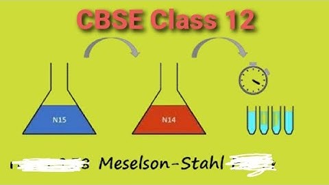 MOLECULAR BASIS OF INHERITANCE (PART 4 ) CBSE CLASS 12