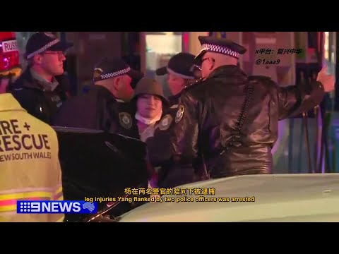杨兰兰 车祸现场视频曝光,她曾试图叫Uber