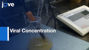Viral Concentration Detection by Small Volume Procedure from Water | Protocol Preview