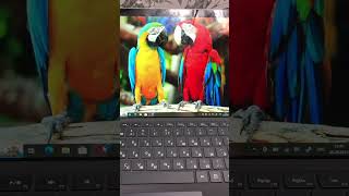 Планшет Microsoft surface Pro 6 i5-8U 8/256 2k