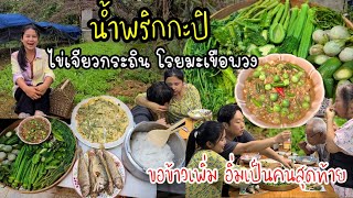 EP.569 น้ำพริกกะปิ ไข่เจียวยอดกระถินโรยมะเขือพวง ปลาทอด ขอข้าวเพิ่ม อิ่มเป็นคนสุดท้าย