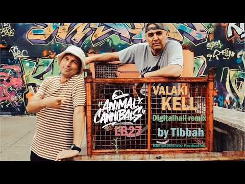 Animal Cannibals & LB27 - Valaki kell (Playaz remix)