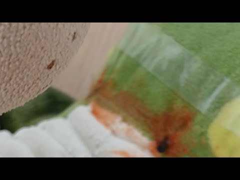 Игра в кальмара 3 сезон