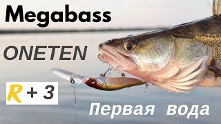 Еду на рыбалку с Megabass Oneten R+3. Первая вода, первые поклевки, первая рыба.