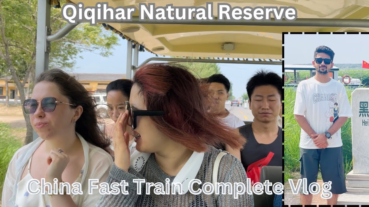 China Fast train 🚆 | Travel to Qiqihar Natural Reserve | Red Crowned Cranes