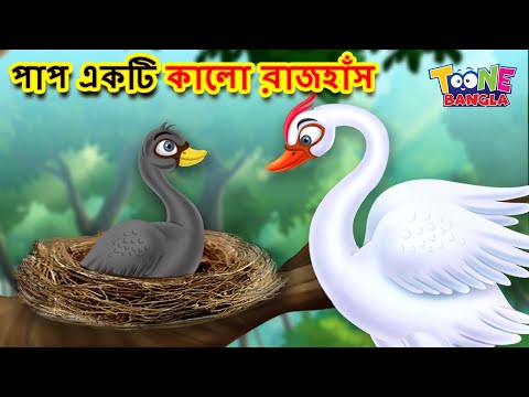 ভিডিও: কালো রাজহাঁস একটি মহৎ পাখি