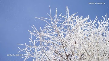 Deconstruccion:Lauki