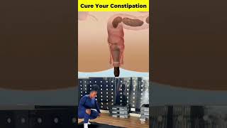 Download Lagu Try this often #viral #motivation #fitnesseverywhere #fitnessinspiration #dothingsyoudontwanttodo MP3