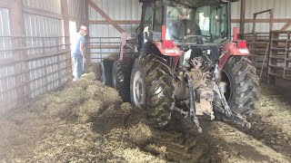 The Big Spring Cleanup by Butterfield Alpaca Ranch 340 views 1 year ago 26 minutes