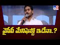 CM Jagan Focuses on Election Manifesto 2024