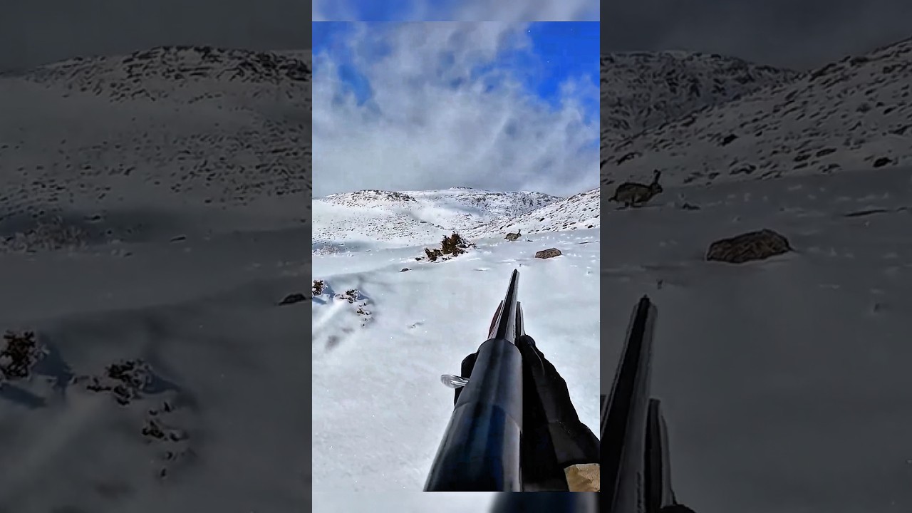 🐇🐇Охота на кролика | Захватывающий момент # wild rabbit # hunting 