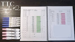 TTC BABY #2 - CYCLE #2 (Ovulation + Pregnancy Tests)