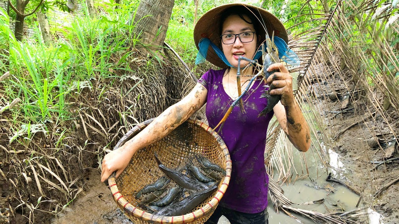Tát Ao Bắt Tôm Càng Xanh Khủng Luộc Trong Trái Dừa Ăn Ngay Tại Chổ | MTTL Tập 129