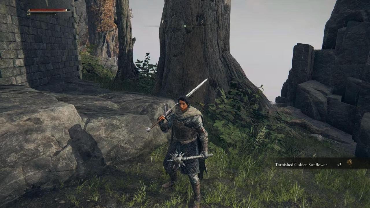 Elden Ring - Leonine Misbegotten boss