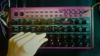 BEHRINGER EDGE // SOUND DEMO, NO FX, NO TALKING