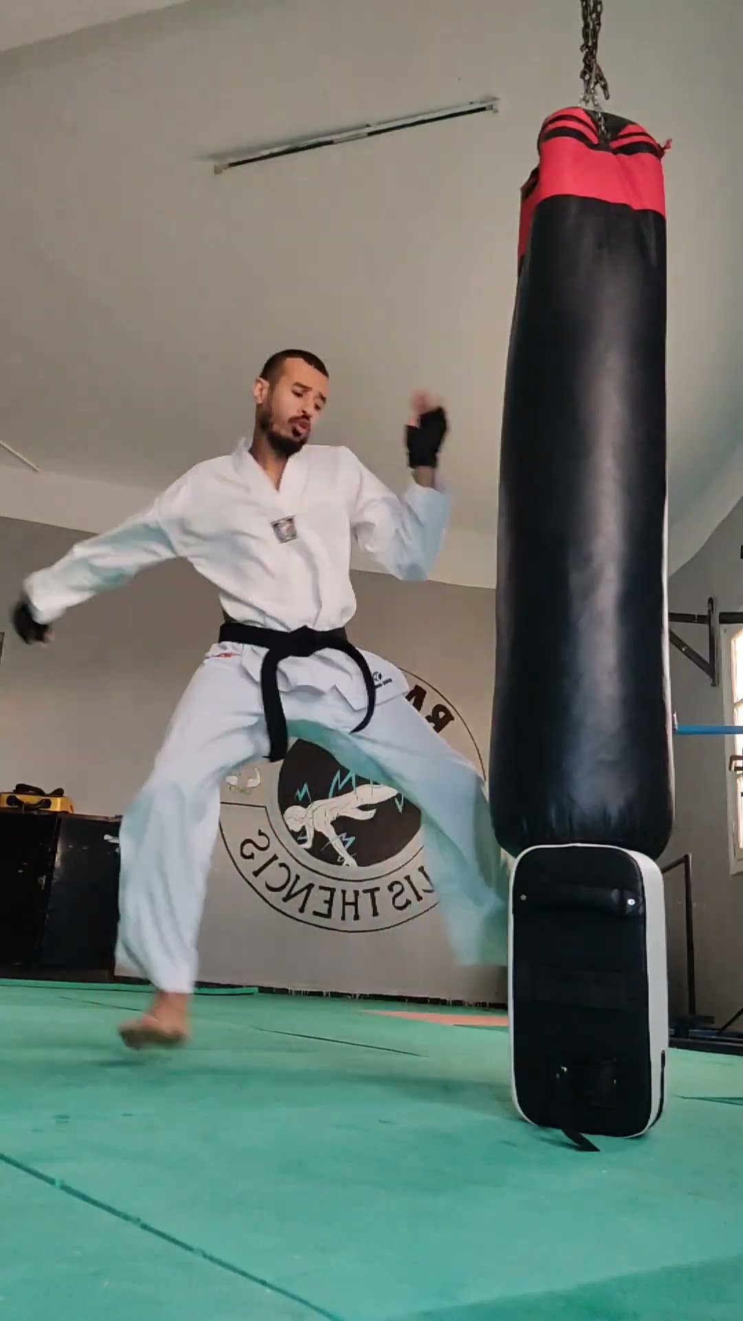 ​4 Impossible Kicks Only Pros Can Master! 🥋🚀🔥 #martialarts  #taekwondo #karate  #capoeira #kicks