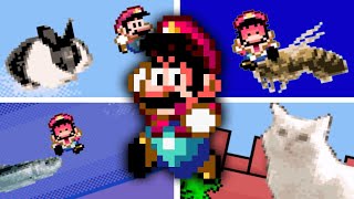 Super Mario World, but the Enemies are Real Animals?! (Weird & Funny Rom Hack)