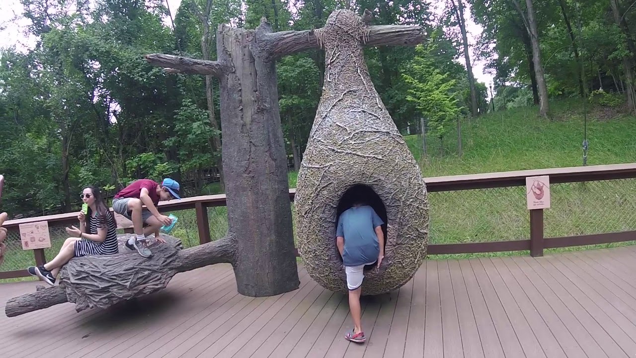 Day Trip to Baltimore Zoo