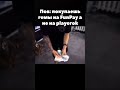 Не пов, а рил #funpay #tiktok #топ #фанпей #joister #перепродажа
