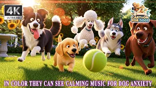 Dog TV for Home Alone Dogs 🐶 BEST Cartoon for Dogs 2026 👉 Stress Relief, Boredom Buster & Sleep 💤