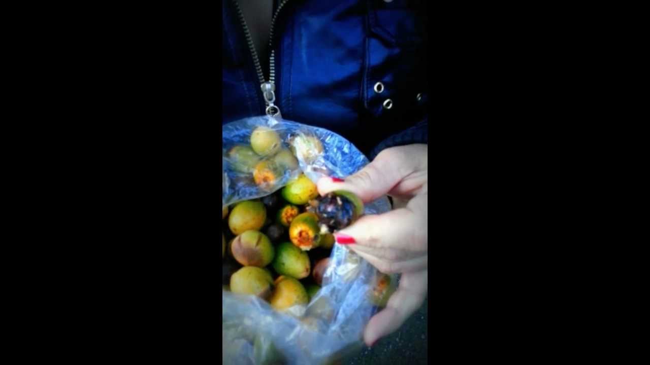 Florentina Craft foraging Bay Nuts