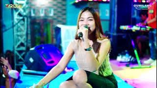 ZARIDEN MUSIC - MARI BERCINTA DINDA TERATU - HAPPY PARTY PEMUDA ORENGE - KUDUR WINONG PATI