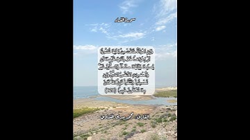 سورة النساء ١٢٨ #قرآن #قرآن_كريم #قران #قران_كريم #قرأن #quran