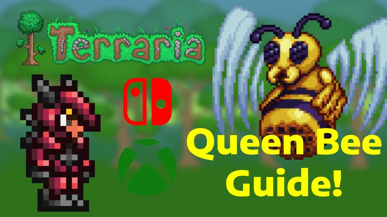 Queen Bee Expert Mode Tierlist/ Guide