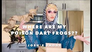 Where are my Poison Dart Frogs?  I  Josh