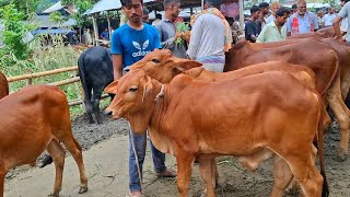 @আজ ৩ জুলাই 2025