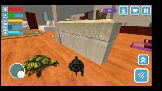Turtle Simulator Full Gameplay