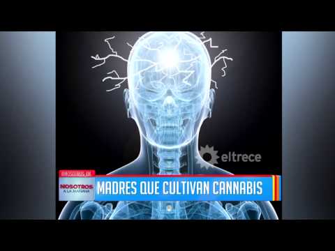 Vídeo: 11 Sorprendentes Beneficios Y Usos Del Té De Marihuana