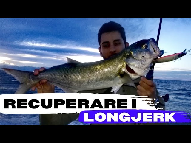 SPINNING in MARE: COME recuperare il LONGJERK per SERRA, BARRACUDA e  SPIGOLE - RIPRESE SUBACQUEE 