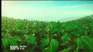 Transtv La Menthol 21 40