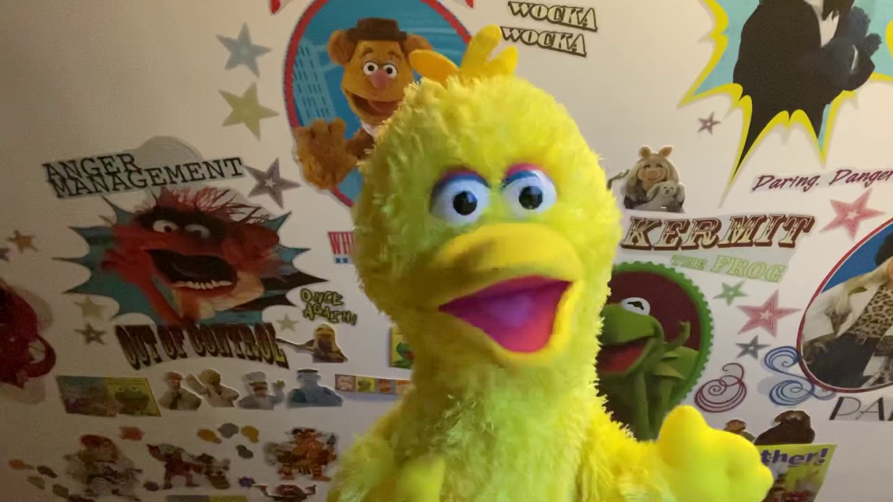 Big Bird Sings Hush Little Baby YouTube