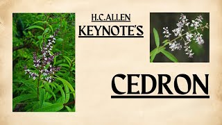 Cedron Homeopathic Materia Medica By Keynotesbhms