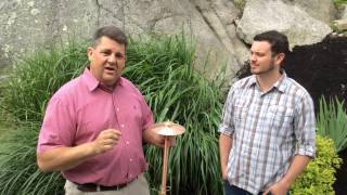 Landscape Lighting Design at Northeast Nursery screenshot 5