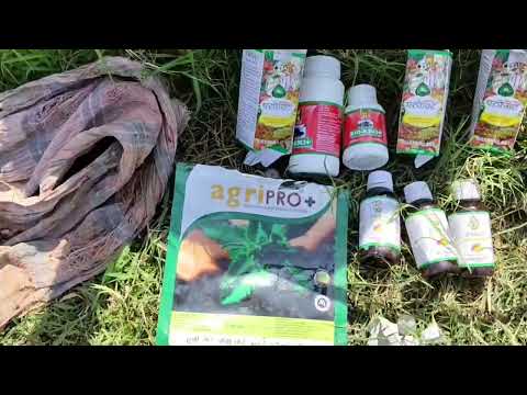 परफेक्ट+BIO-R303+ॲग्री प्रो कारले पिकासाठी योग्य फवारणी - YouTube