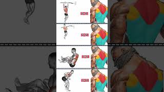 Perfect Full Back Body Workout Build Muscle, Shoulder, Triceps, Biceps Exercises at home