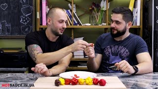 Пробуем самые острые в мире перцы: Часть 3. Скорпион Тринидад (habanero, ghost pepper, brain strain)