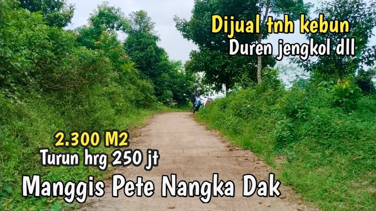 Dijual tnh kebun durian pete jengkol nangka dak dll surat sertifikat hakmilik  akses nempel jlnmobil