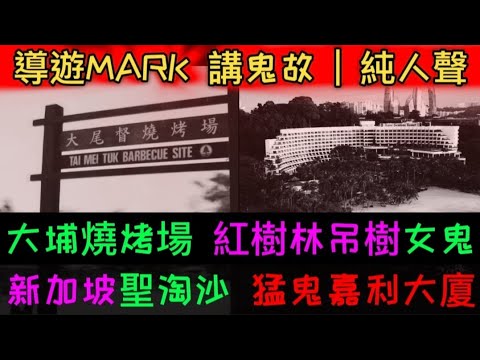 🇭🇰香港粵語鬼故事 (18 )導遊MARK | 純人聲 | 大埔燒烤場•撞鬼 |紅樹林吊樹•女鬼 | 新加坡聖淘沙 |猛鬼嘉利大廈 #灵异故事 #奇聞怪事 #ghost #怪談 #精選鬼故 #鬼故