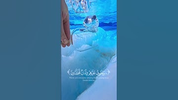 من أجمل آيات القرآن اللي تريح النفس 🕊️♥️🌿#راحة_القلب #قرآن_كريم #تلاوة_خاشعة# اكتب شئ تؤجر عليه