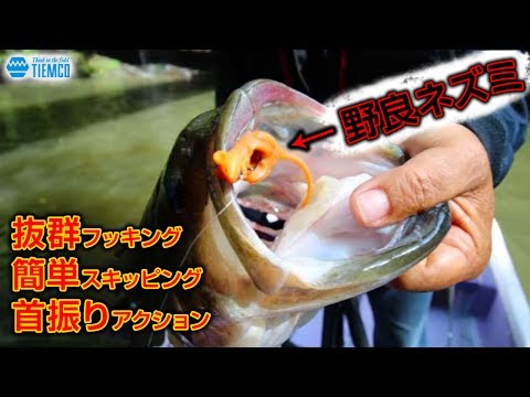 驚異の虫系ソフトルアー【野良ネズミ/クリッタータックル】@亀山ダム/Tiemco Bass Fishing JP/ティムコ バスフィッシング