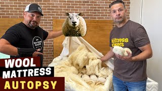 Celebrity We Cut Open a 10-Year-Old Wool Mattress — Here’s What We Found Net Worth