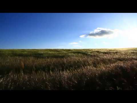 Video: 25 Sebab Untuk Meneroka Padang Rumput Kanada [PIC] - Matador Network