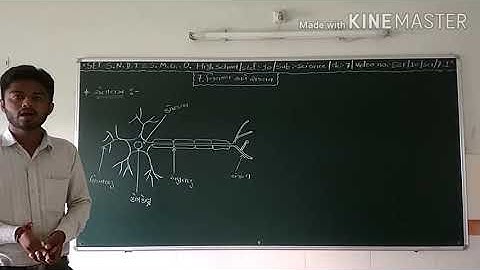 SET - E&F/10/SCI/07.01